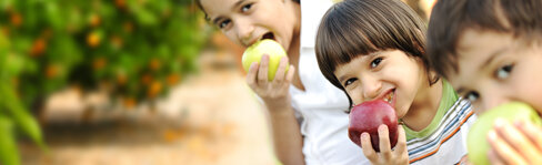 Bonding over fruits