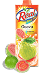 Guava