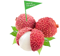 Health Benefits of LITCHI JUICE – THE SUPER FRUIT JUICE