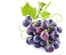 Health Benefits of GRAPES FRUIT JUICE