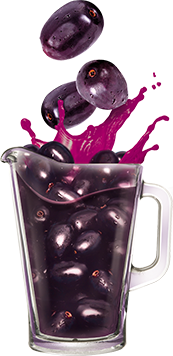 Jamun Juice Juice