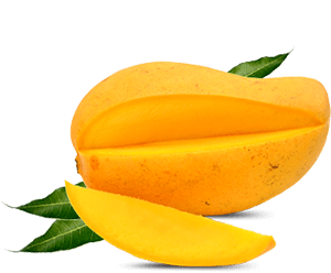 Real Story Mango  