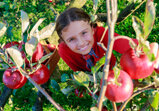 A date with apples